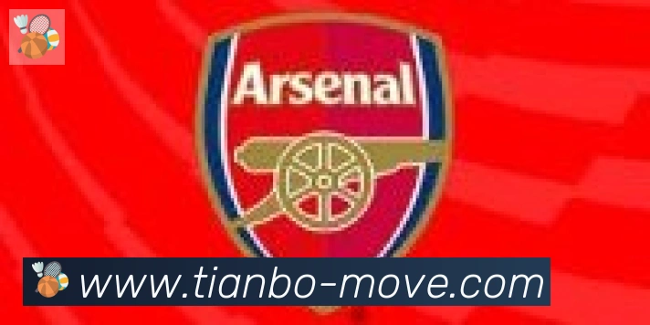 天博官网合作伙伴